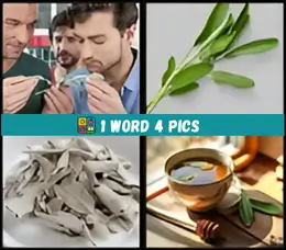 4 pics 1 word level 65 answer image
