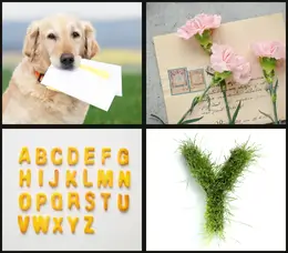 LETTER