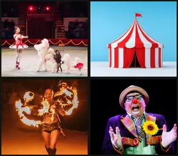 CIRCUS