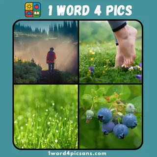 Four images hinting at dew in 4 Pics 1 Word puzzle