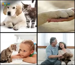 4 Pics 1 Word Level 6