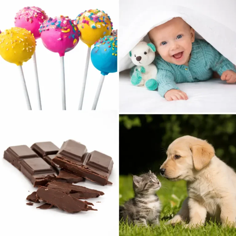 4 Pics 1 Word 3 Letters level 11