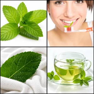 4 Pics 1 Word level 32