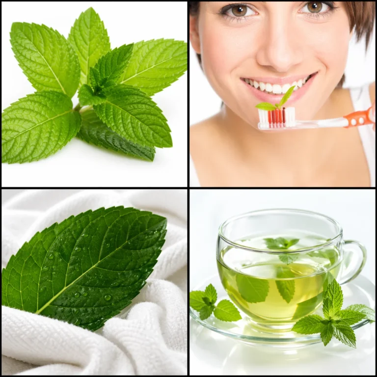 4 Pics 1 Word level 32